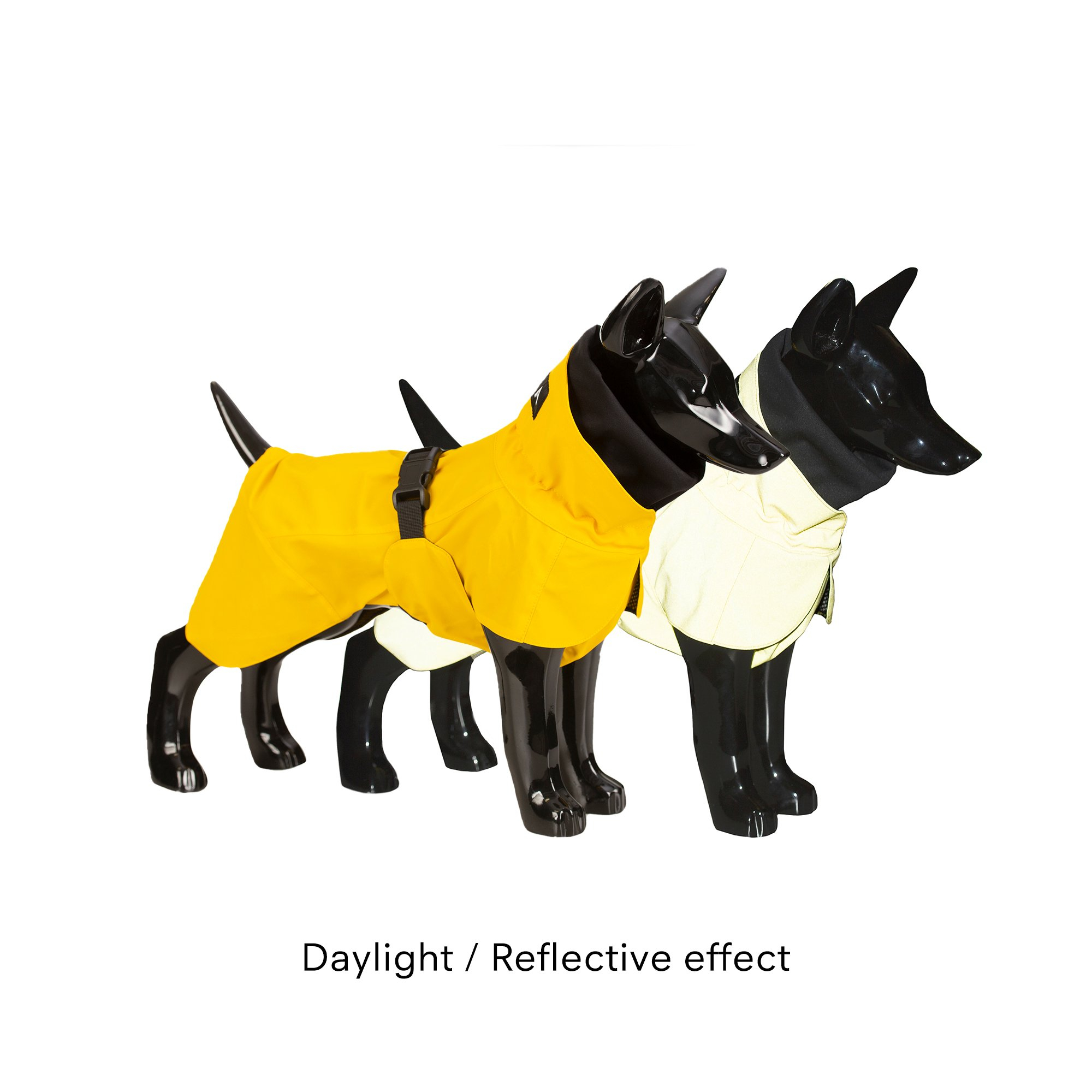 Product rollover image