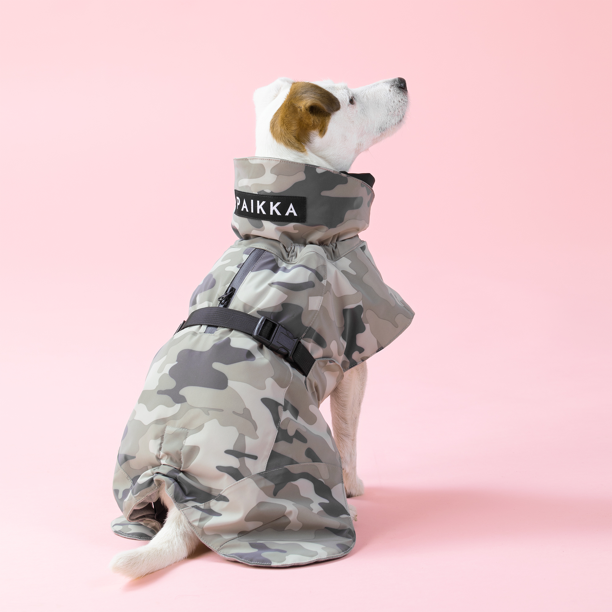 Product rollover image