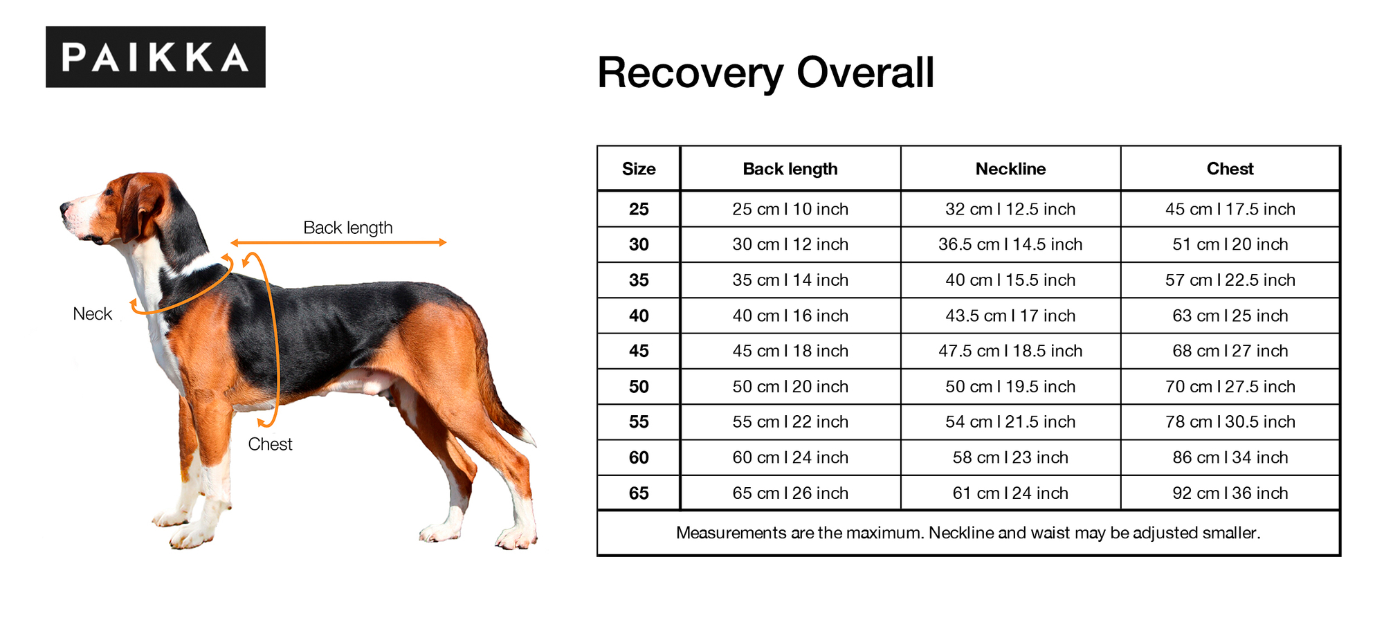 Product rollover image