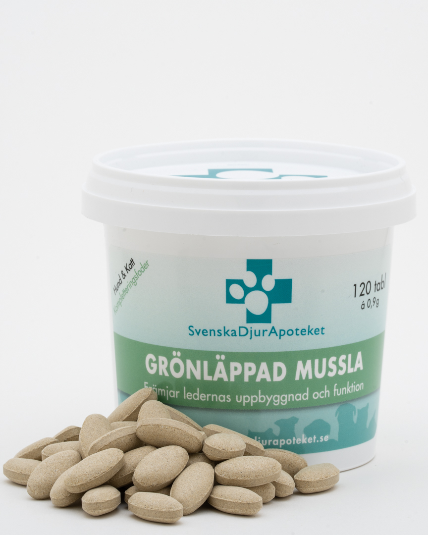 Mussla Grönläppad