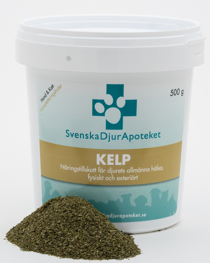 Kelp