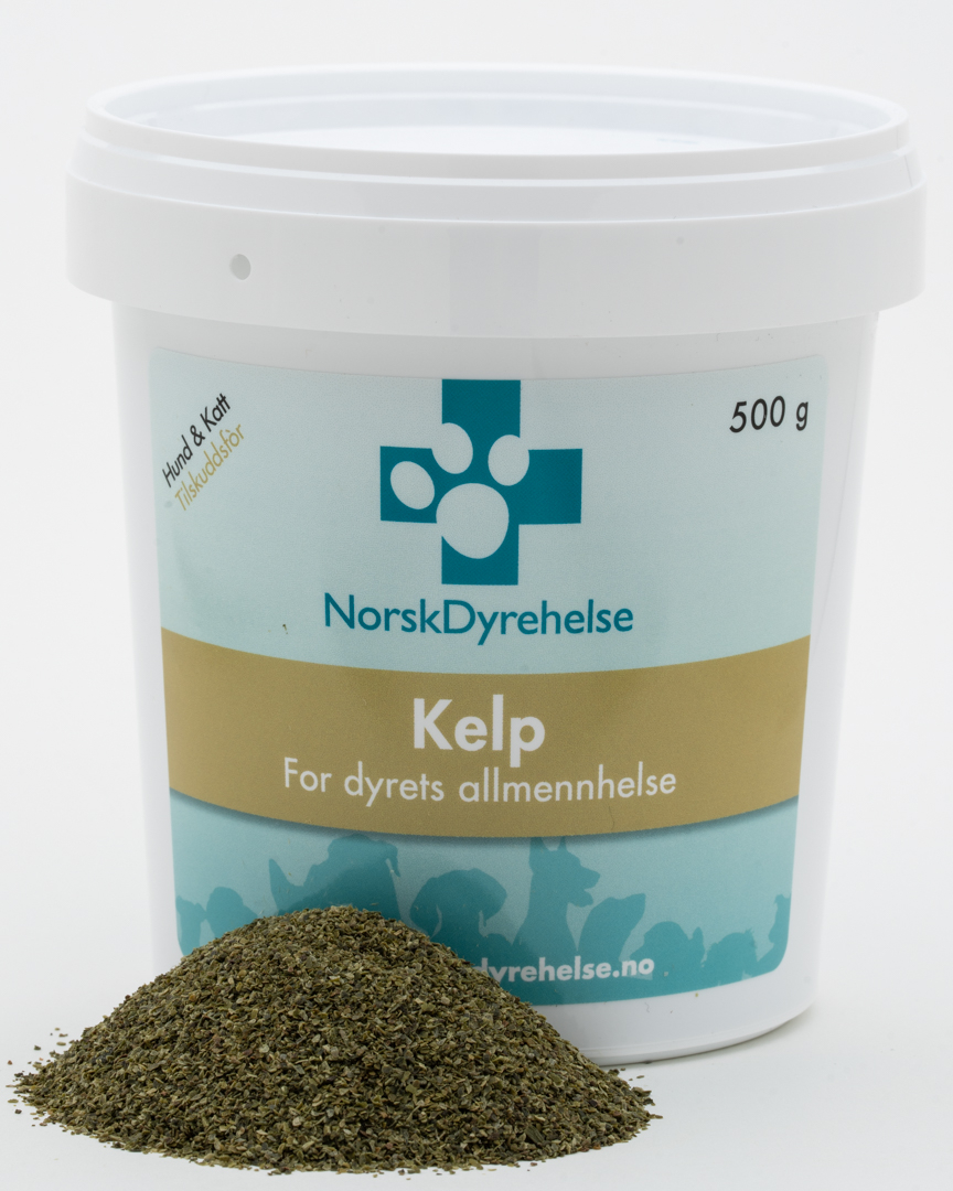 Kelp