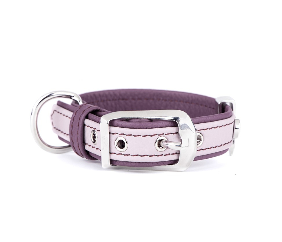 Firenze Hundhalsband