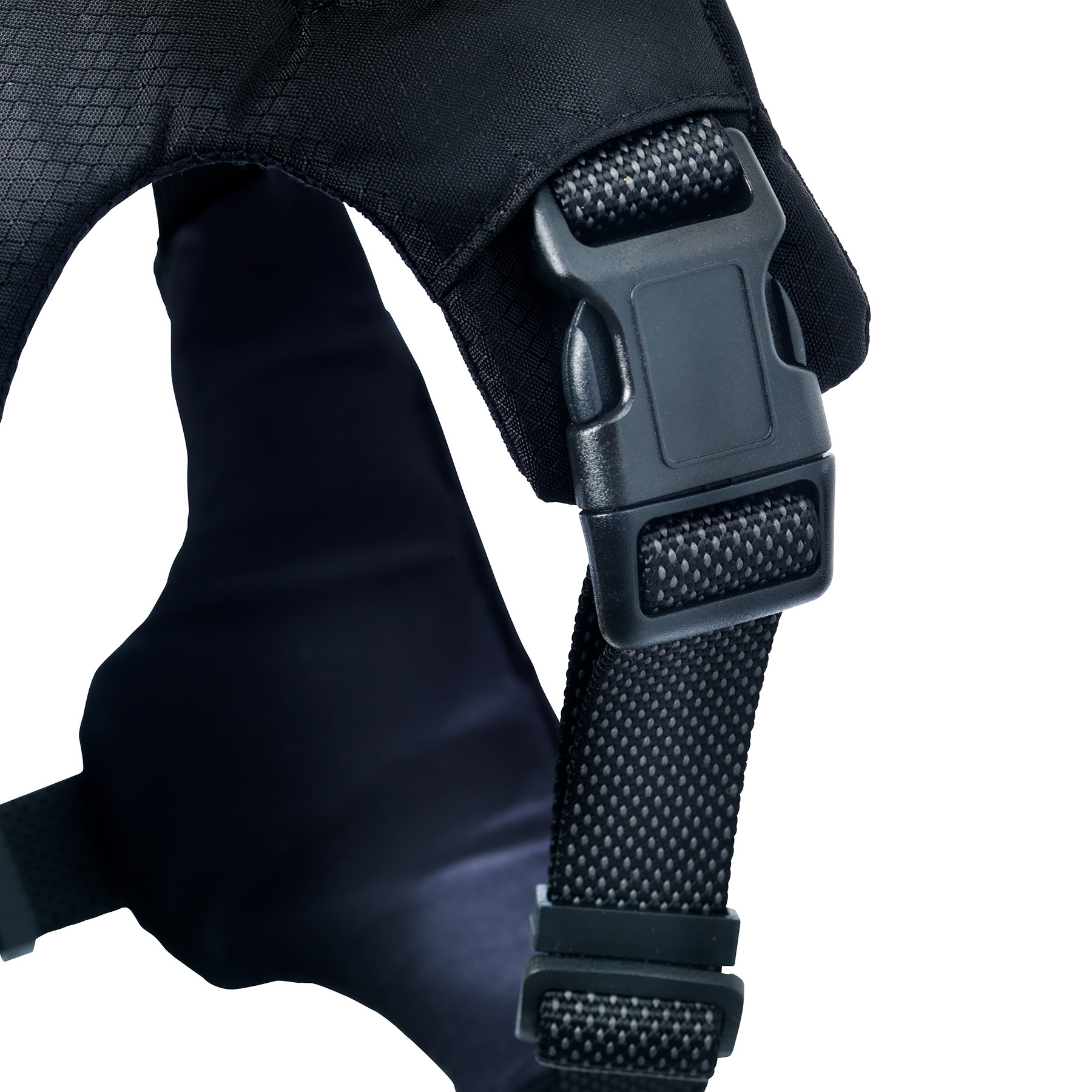 Product rollover image