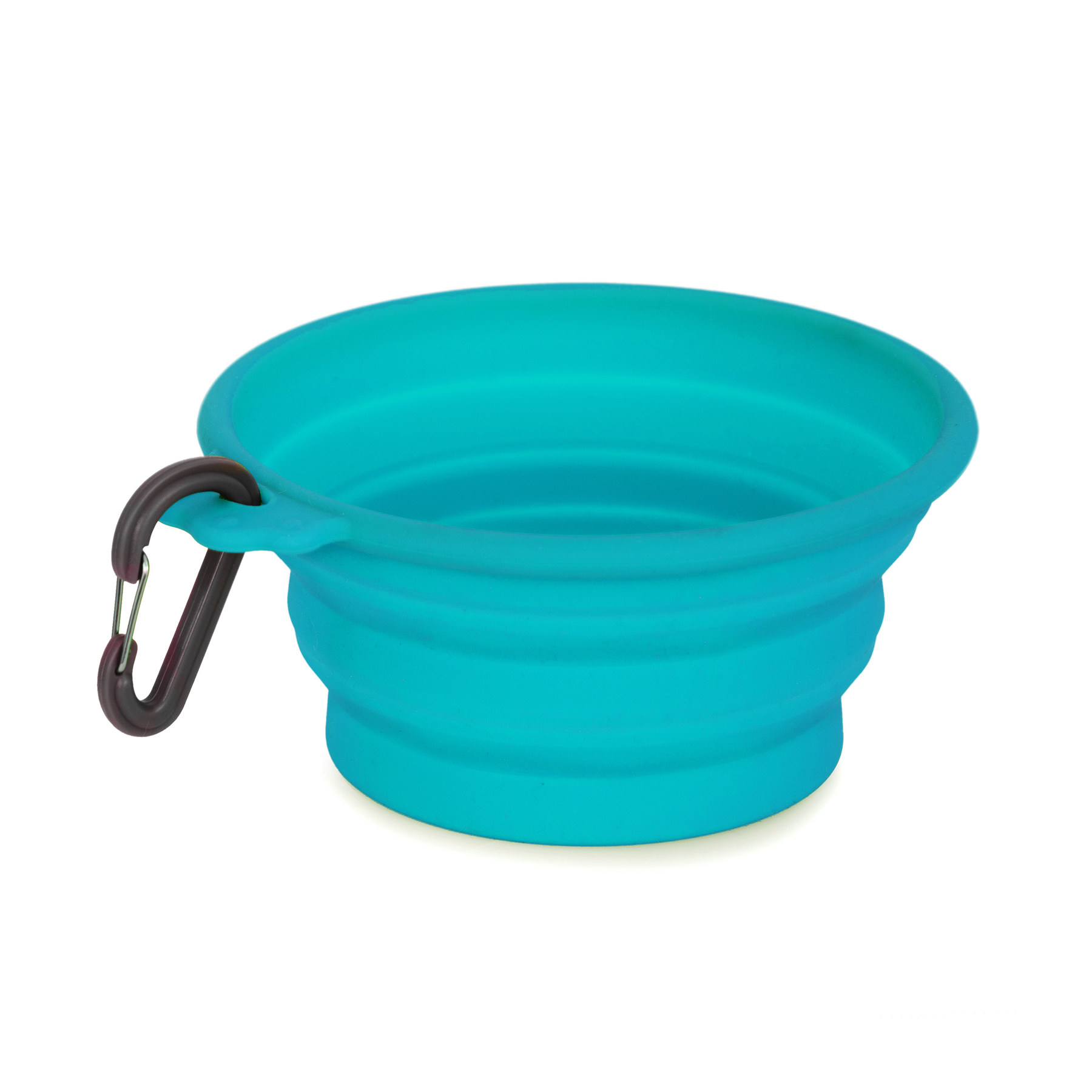 Product rollover image