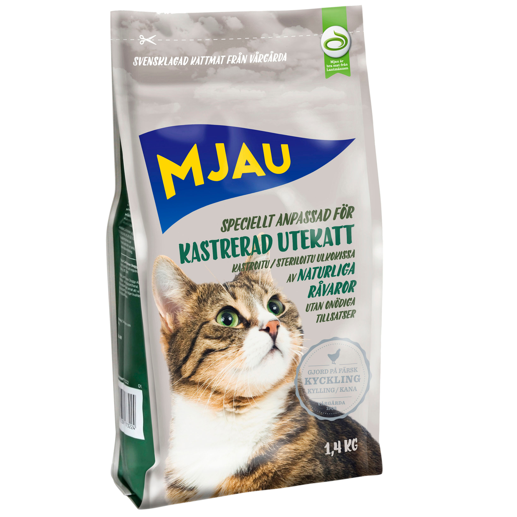 Kastrerad Utekatt