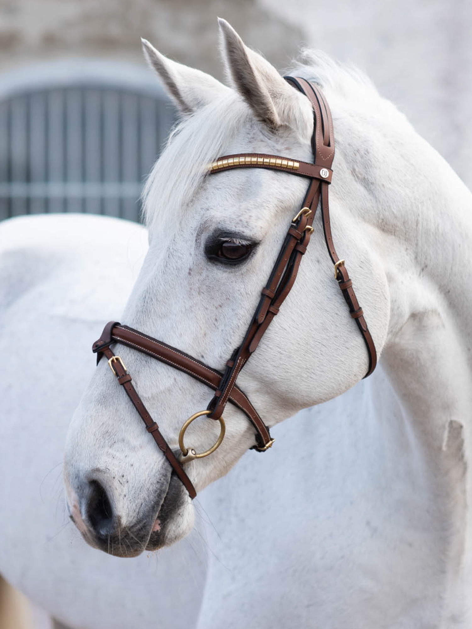 California Aachen Bridle