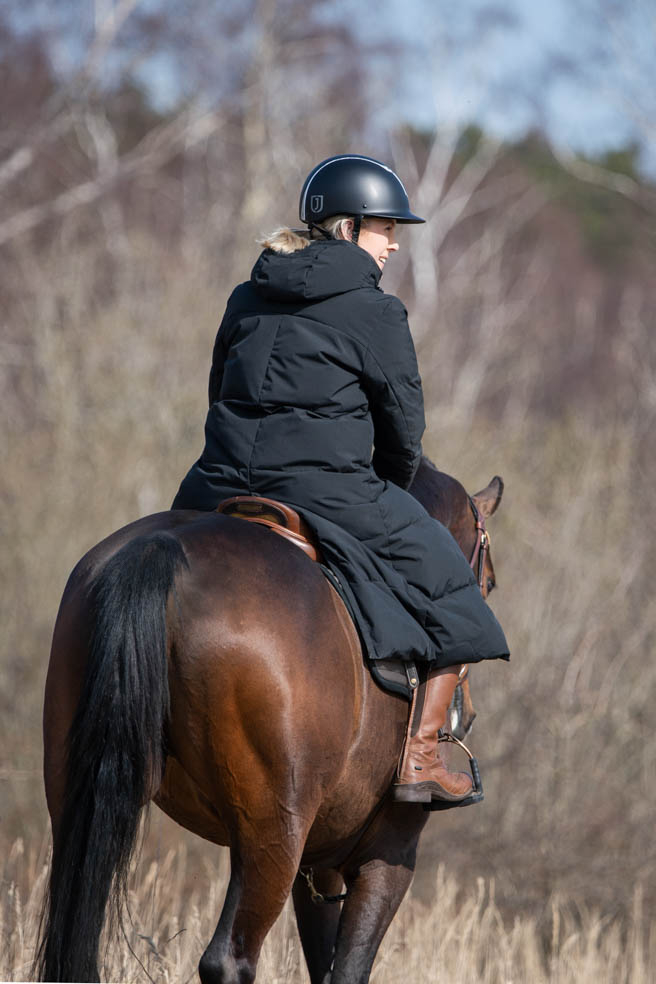 Product rollover image