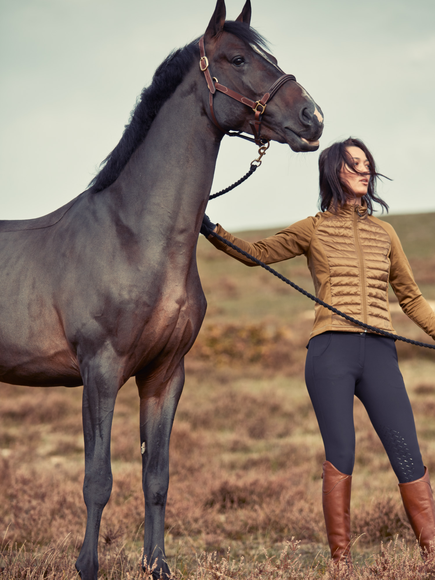 Product rollover image