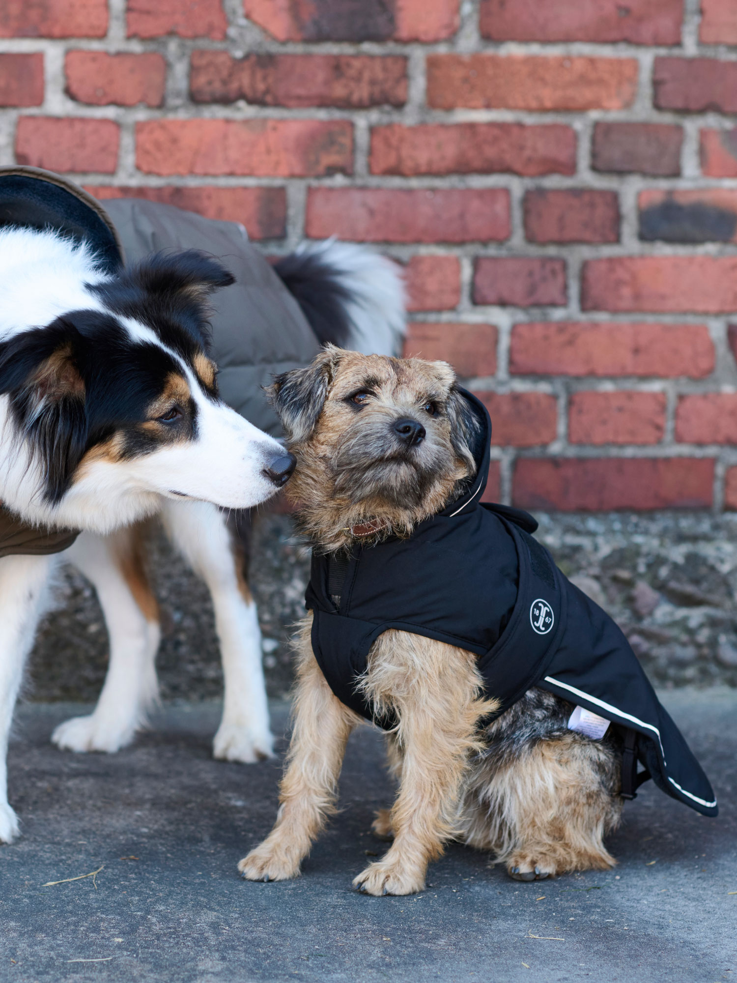 Product rollover image