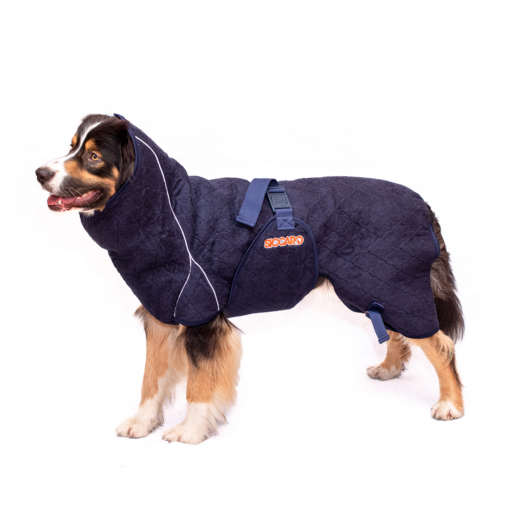 Product rollover image