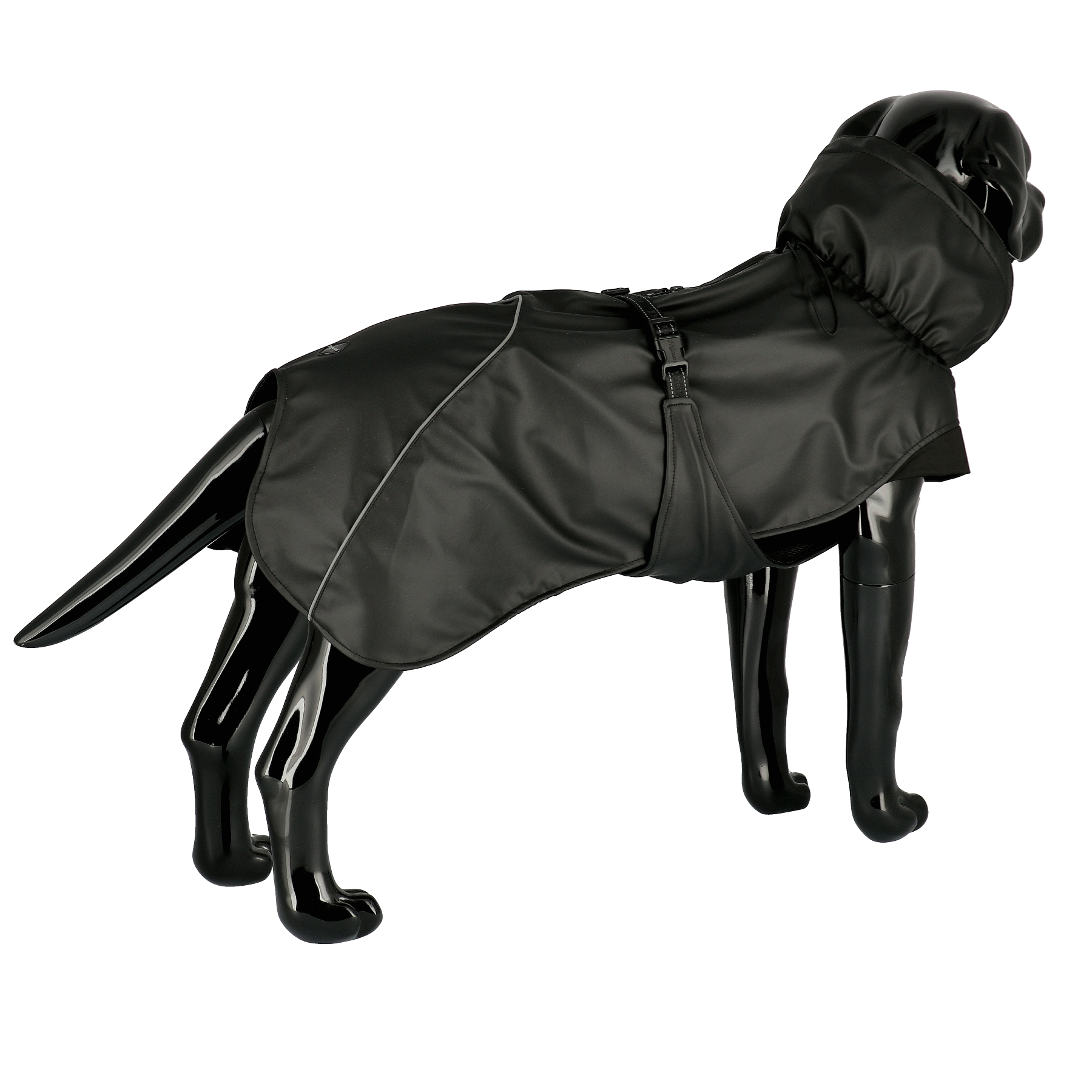 Product rollover image