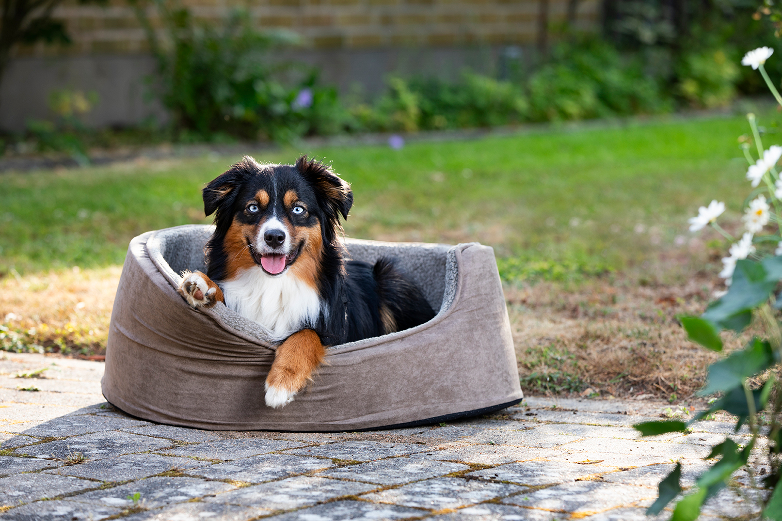 Product rollover image