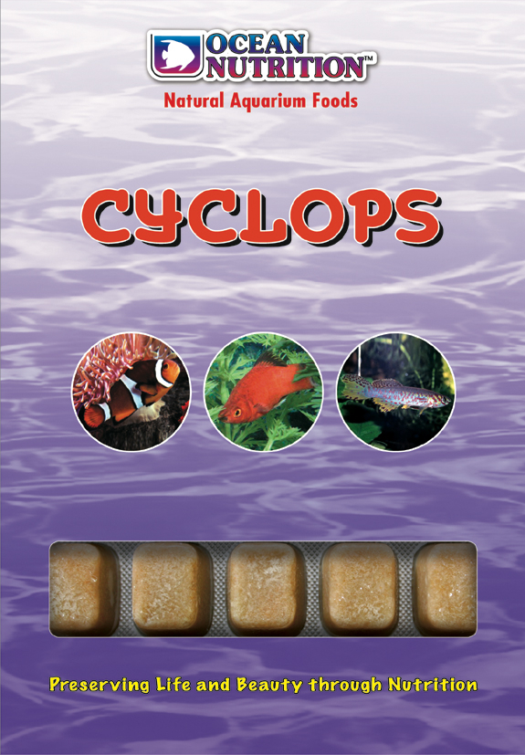 Cyklops Frysta