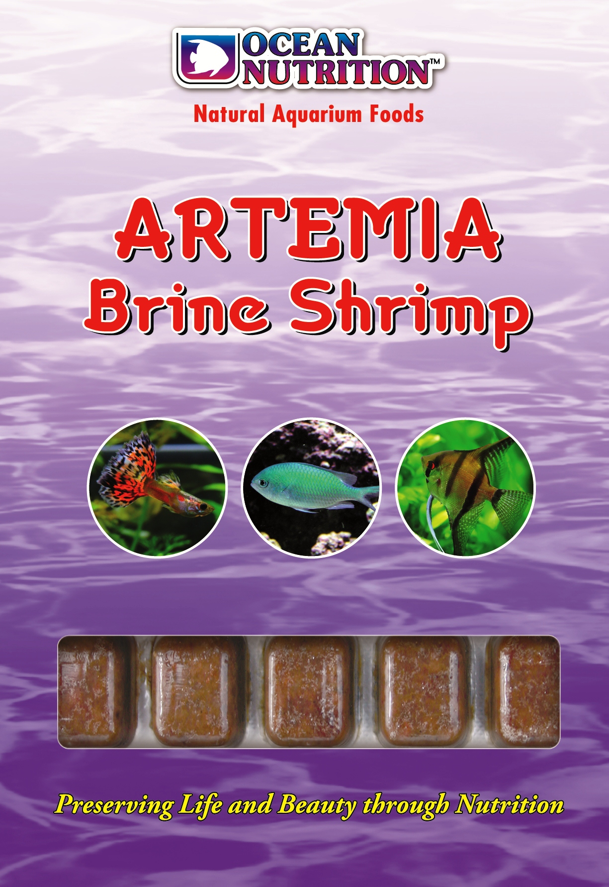Artemia Frysta