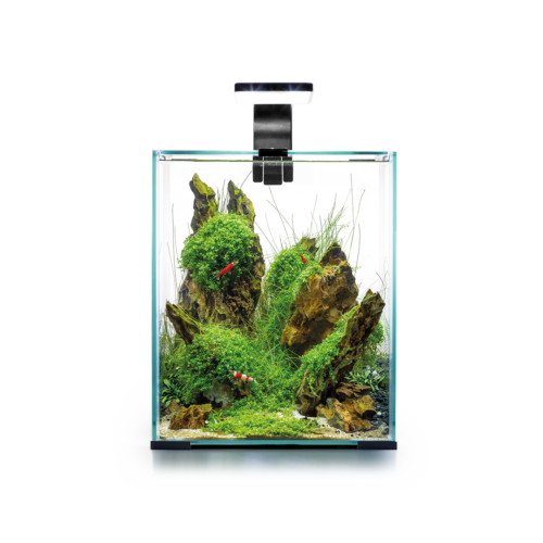 Day&Night Shrimp Set Aquarium