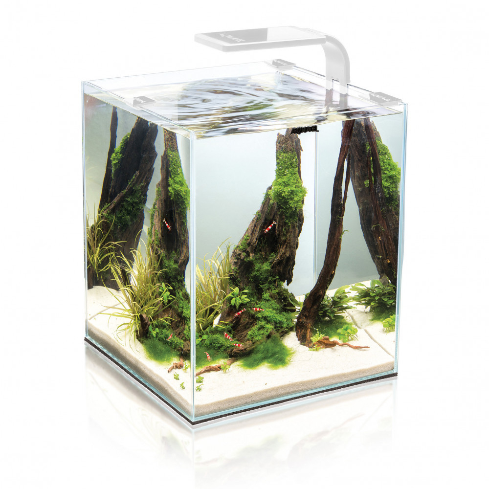 Day&Night Shrimp Set Aquarium