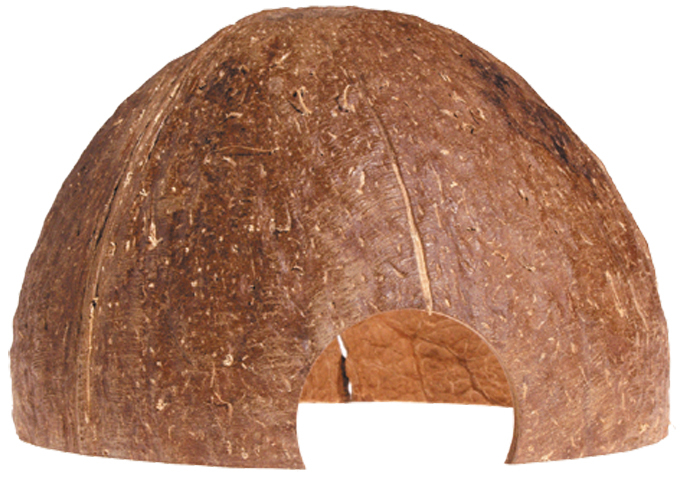Kokosnöt Grotta Akvariedekoration