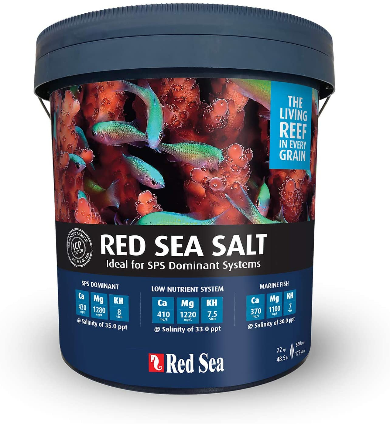 Red Sea Salt