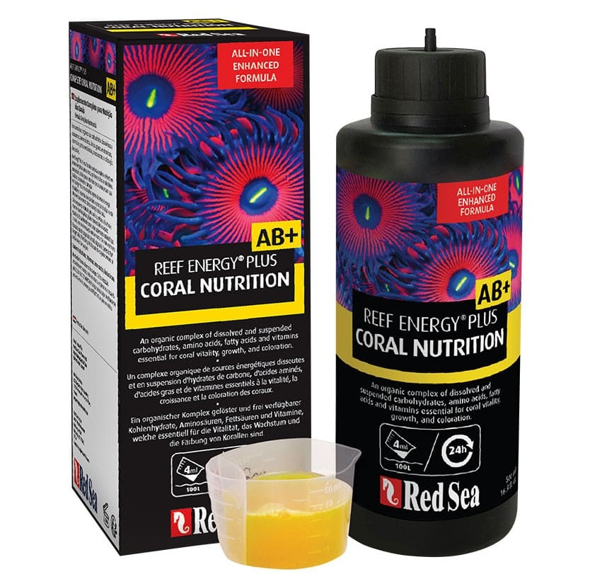 Reef Energy Plus