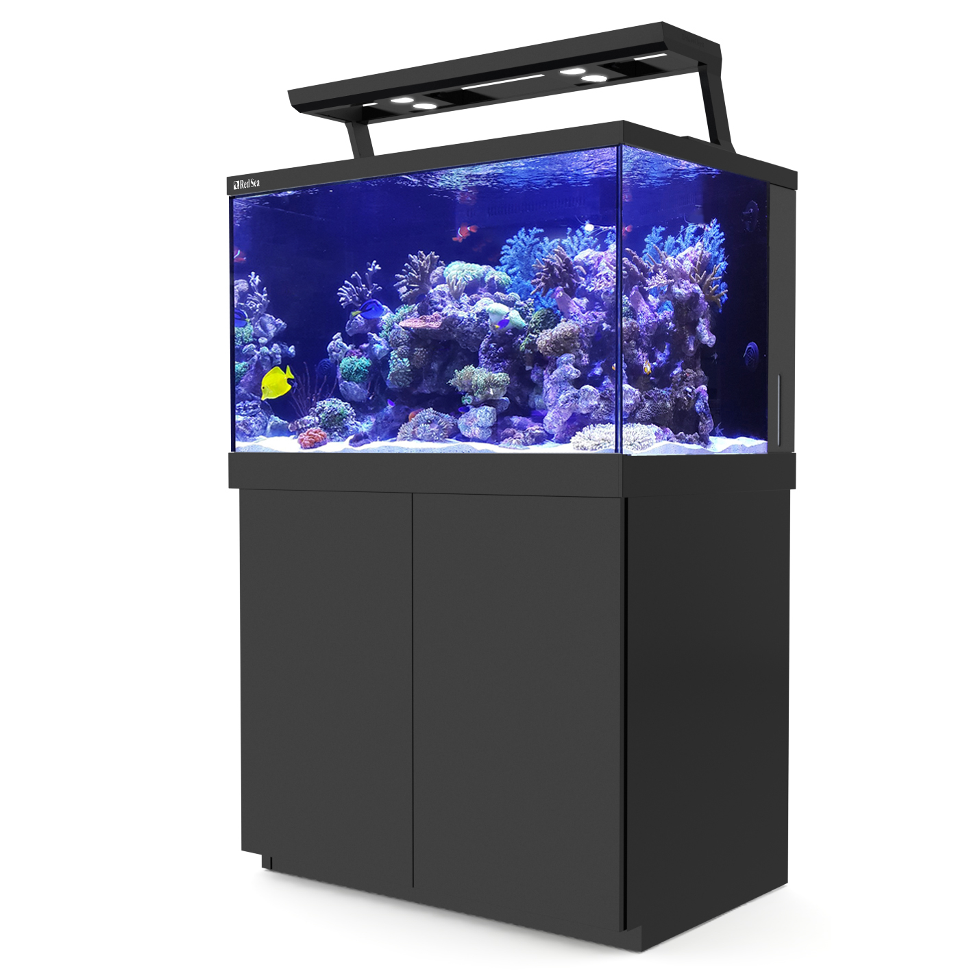 Product rollover image