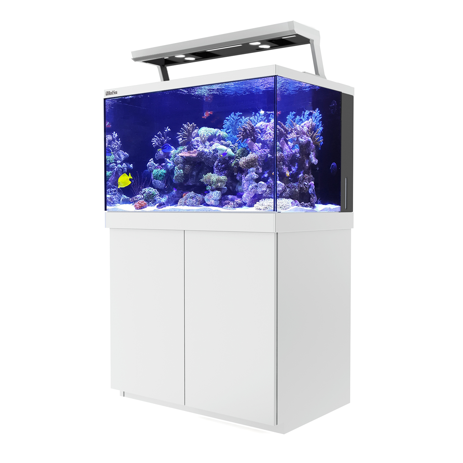 Product rollover image