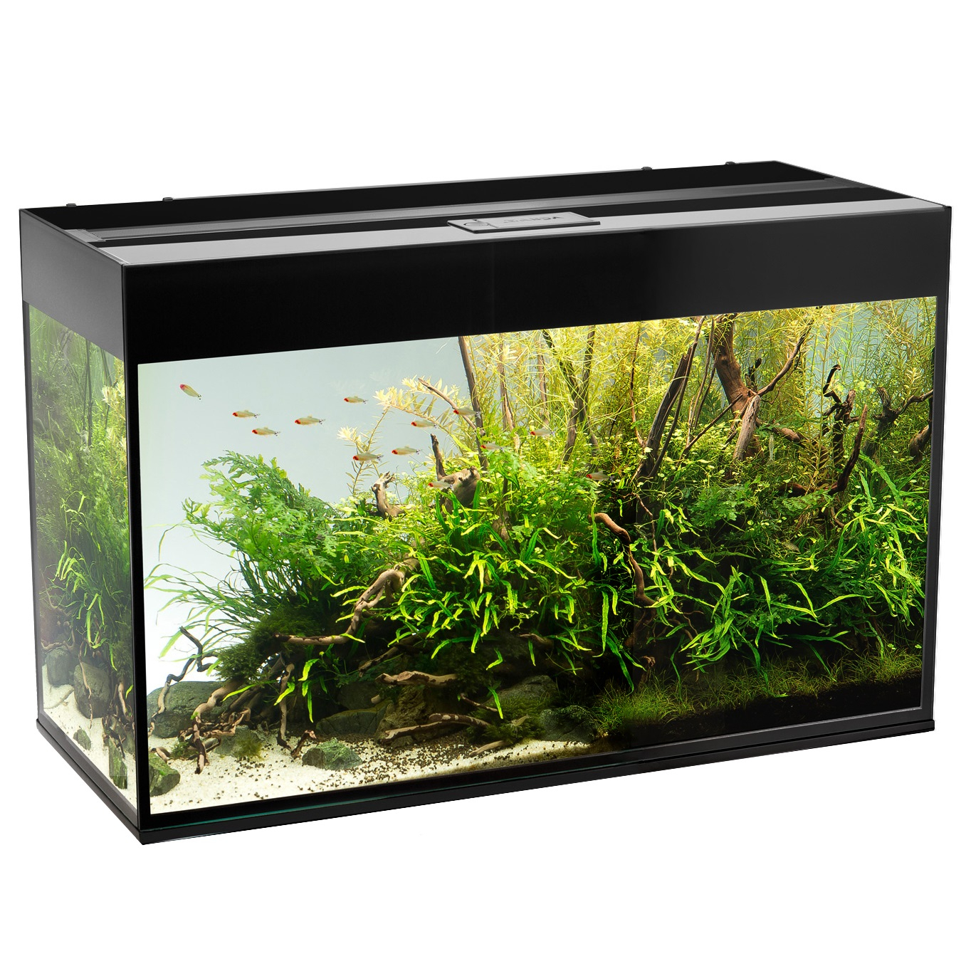 Glossy Akvarium