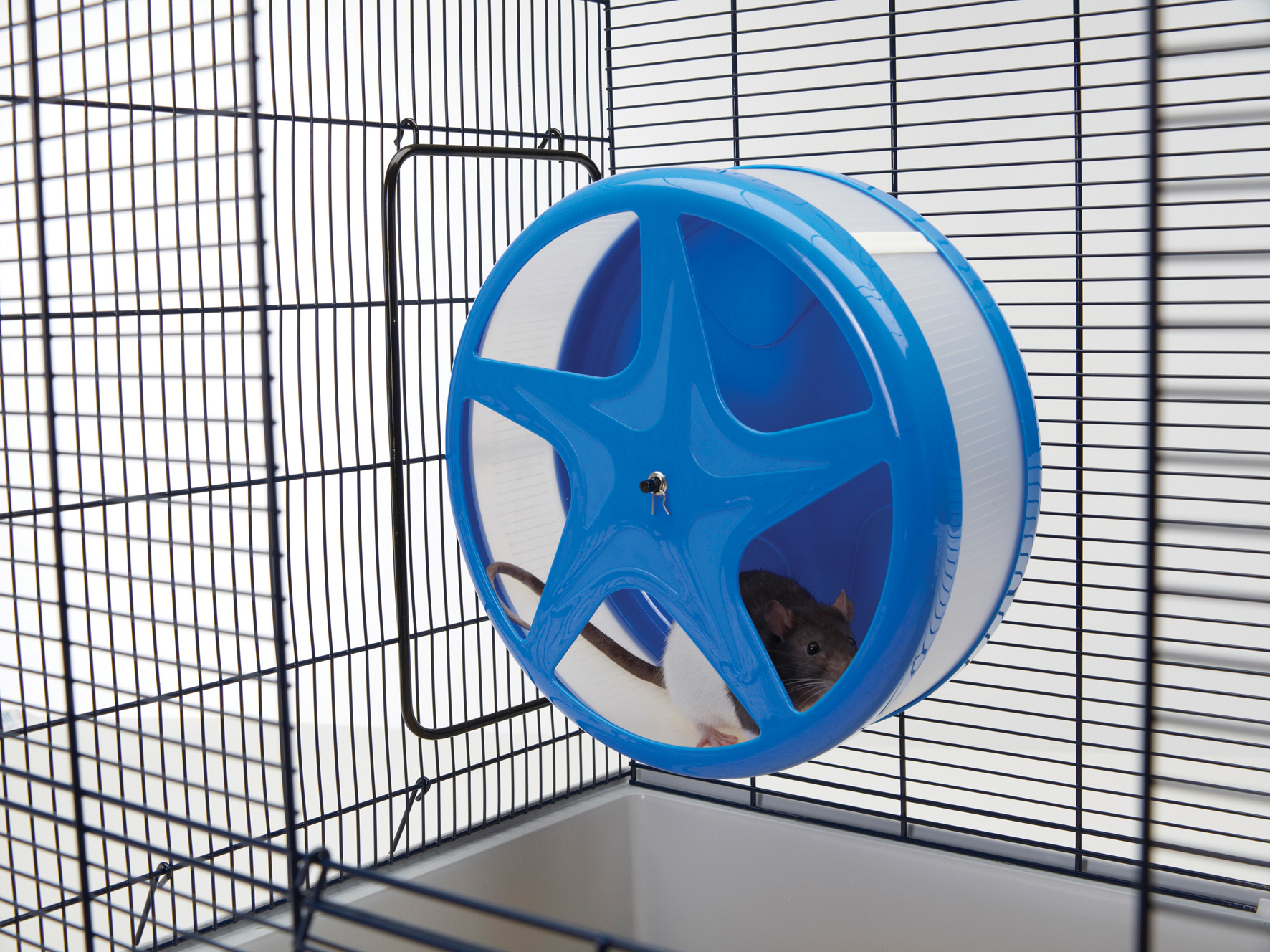Product rollover image