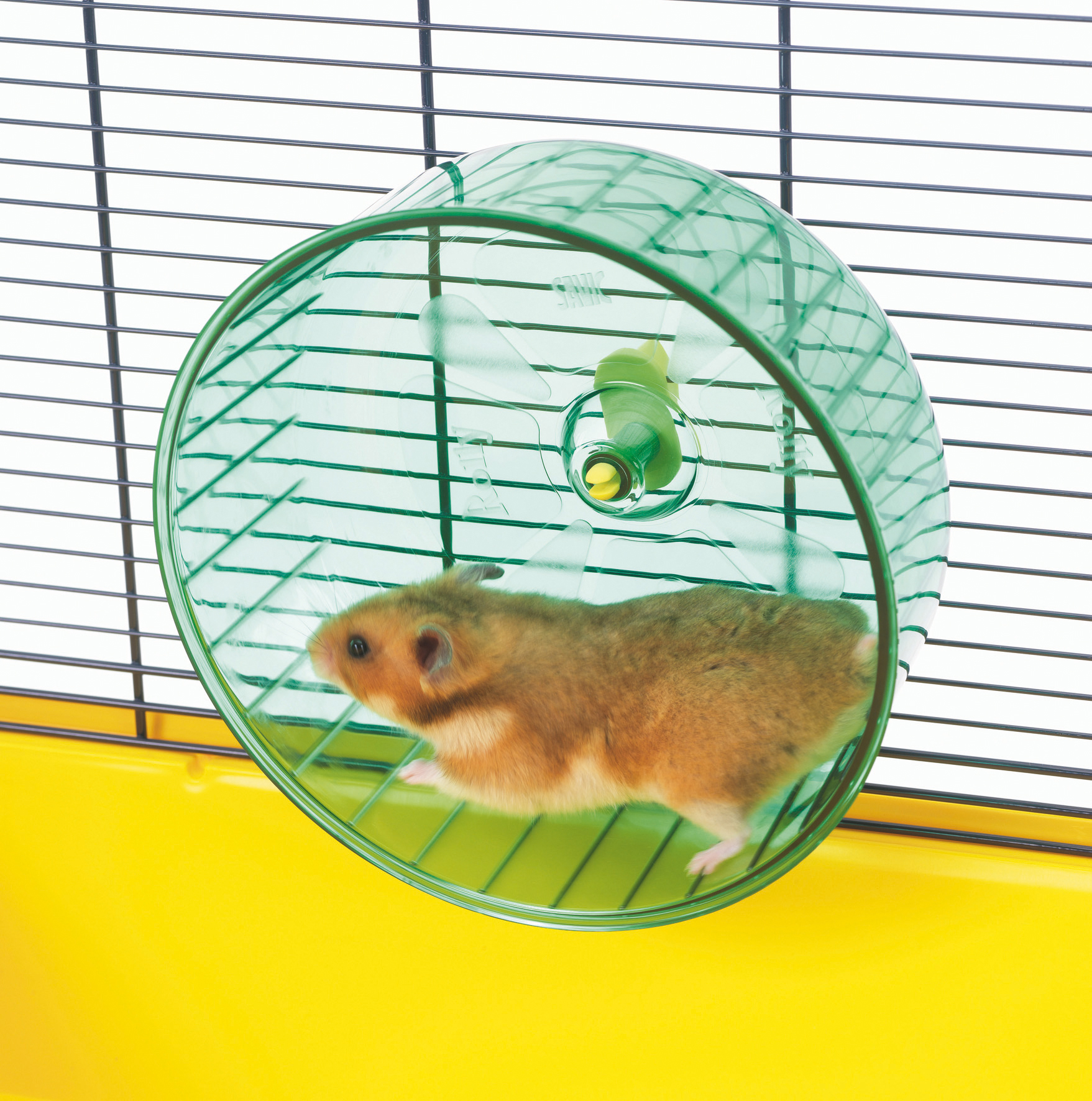 Product rollover image