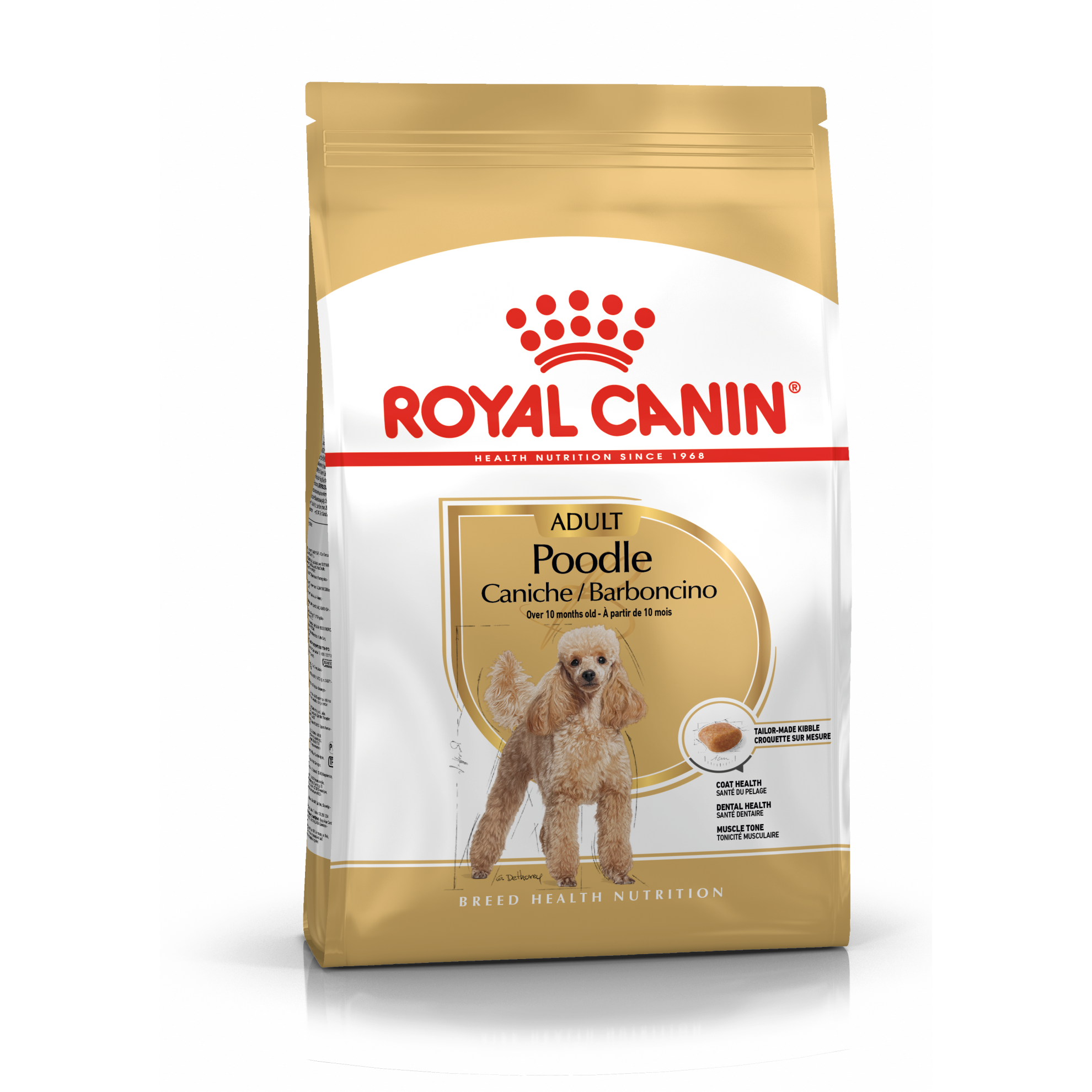 Poodle Adult Hundmat