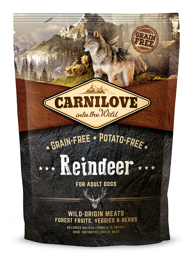 Reindeer