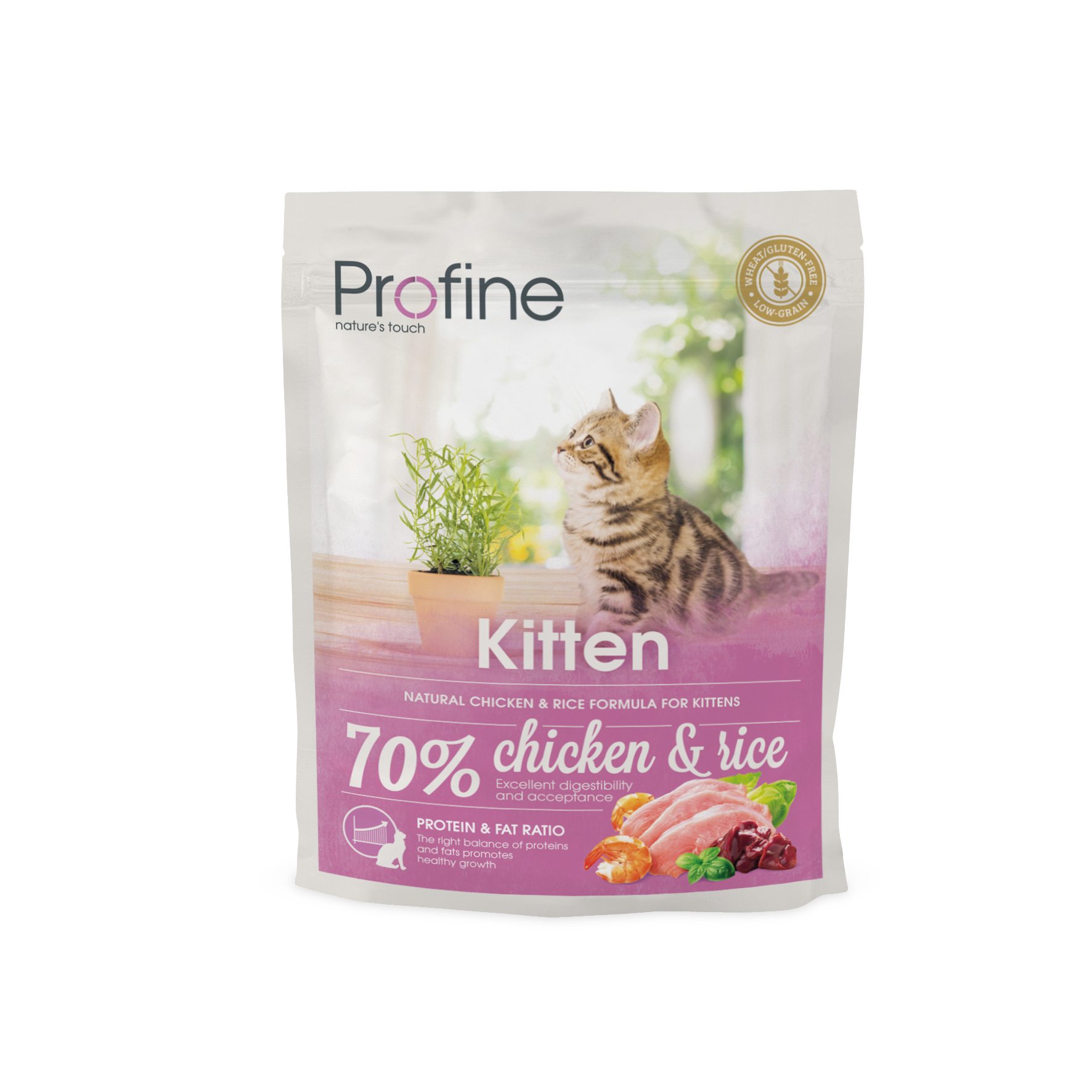 Kitten