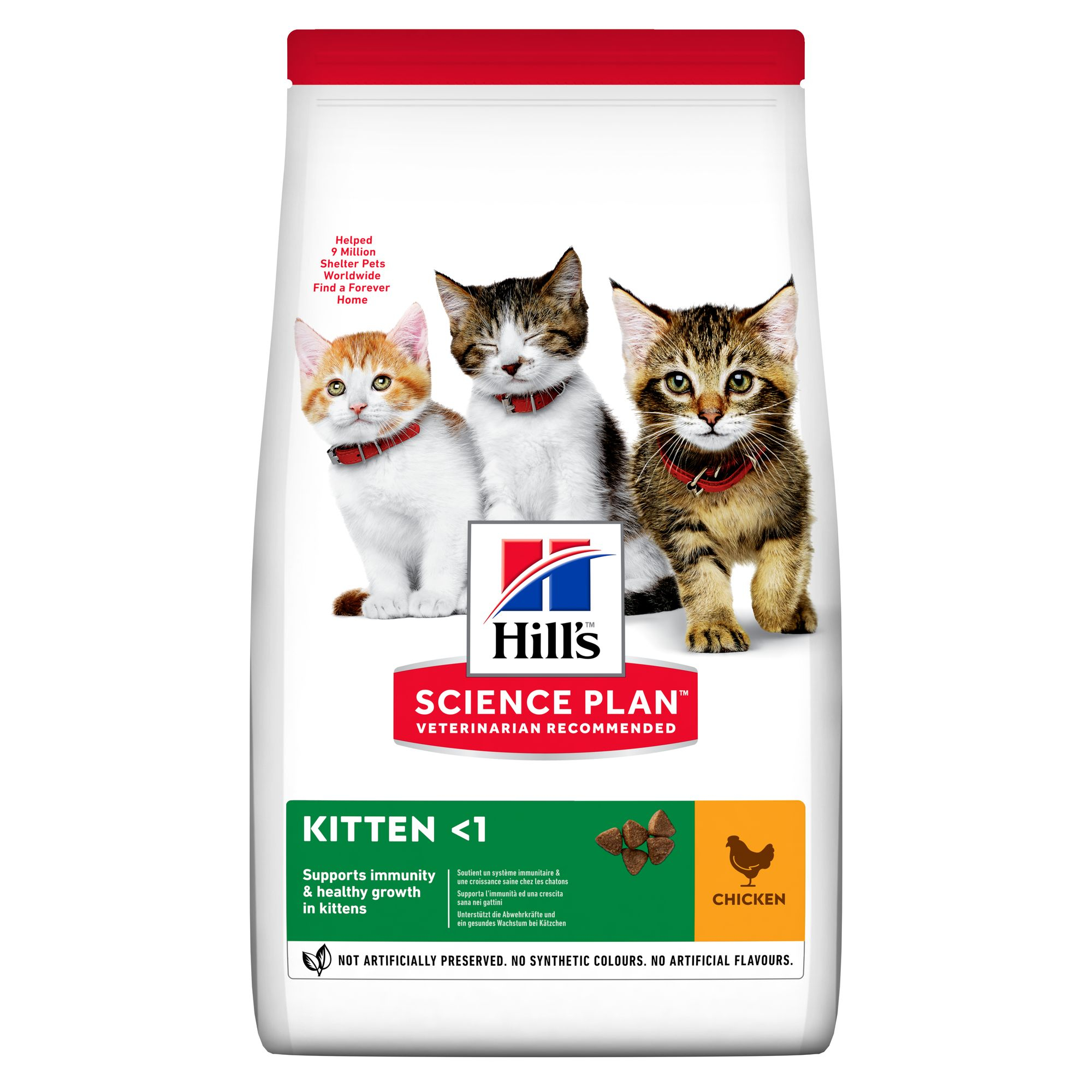 SP Kitten Chicken