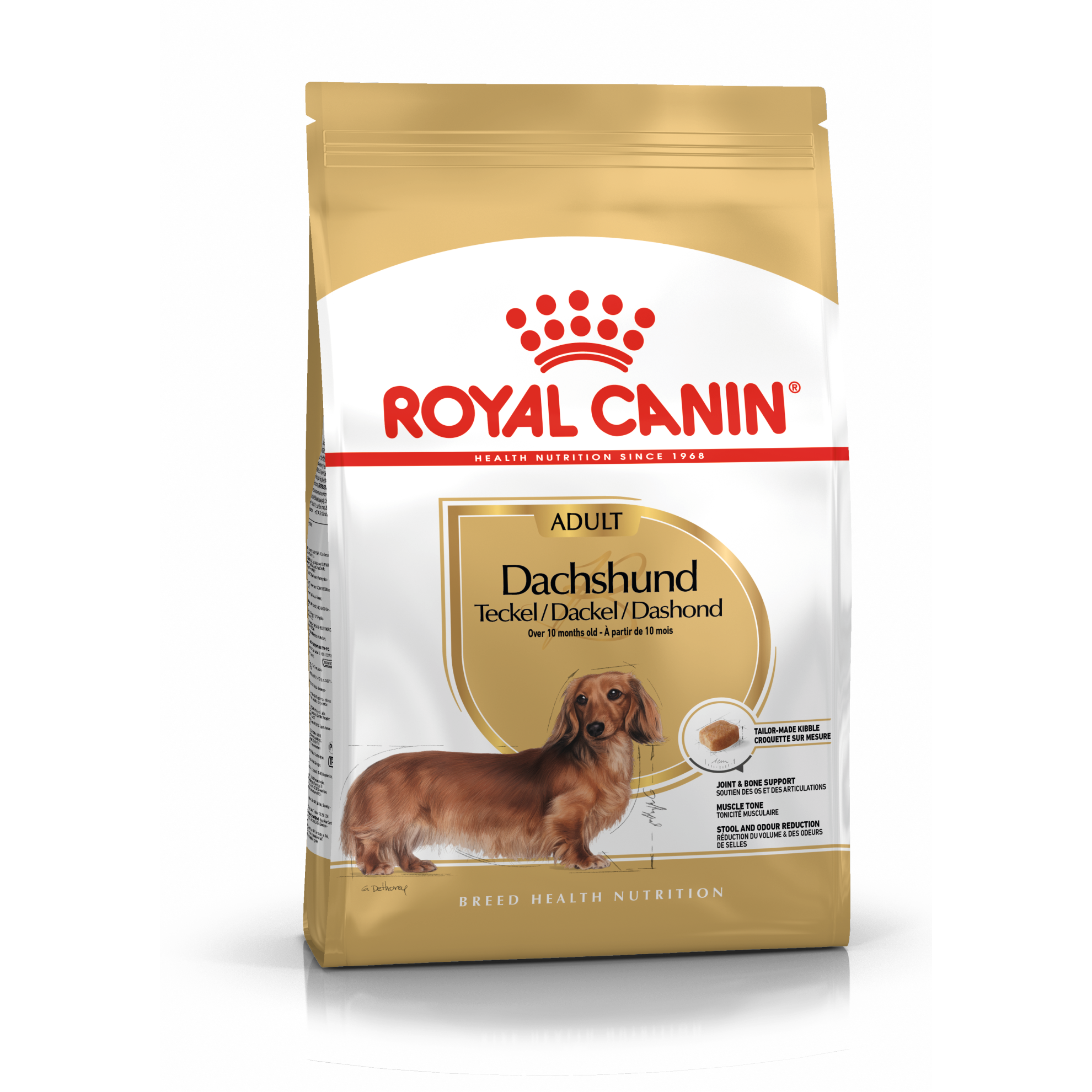 Dachshund Adult Hundmat
