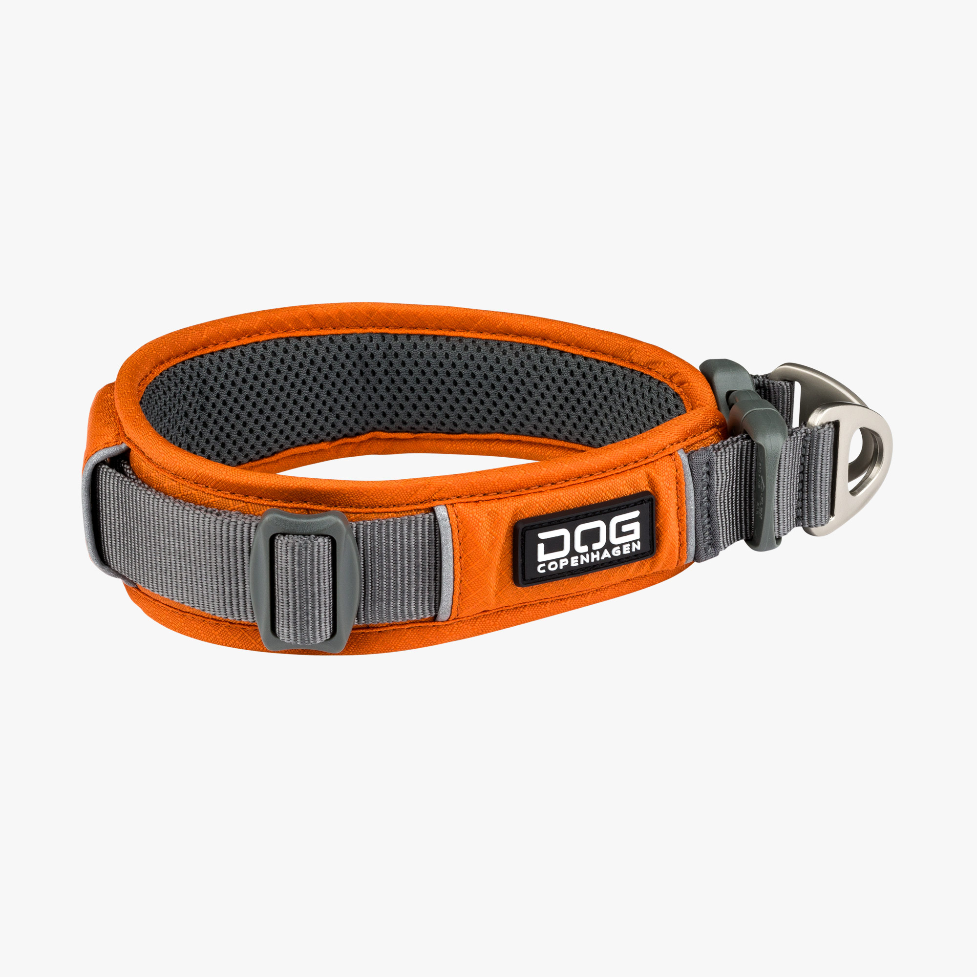 Urban Explorer Hundhalsband