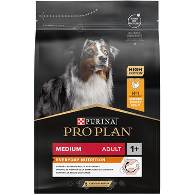Dog Medium Adult Kyckling