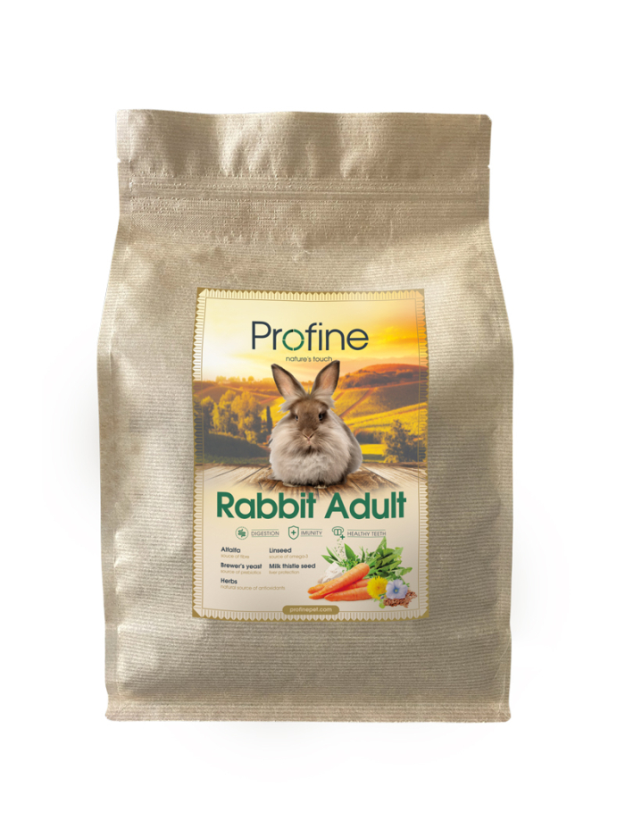 Animals Rabbit Adult