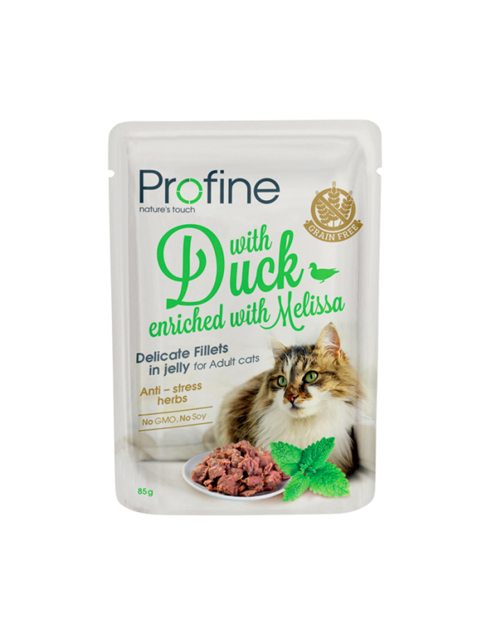 Cat Adult Fillets
