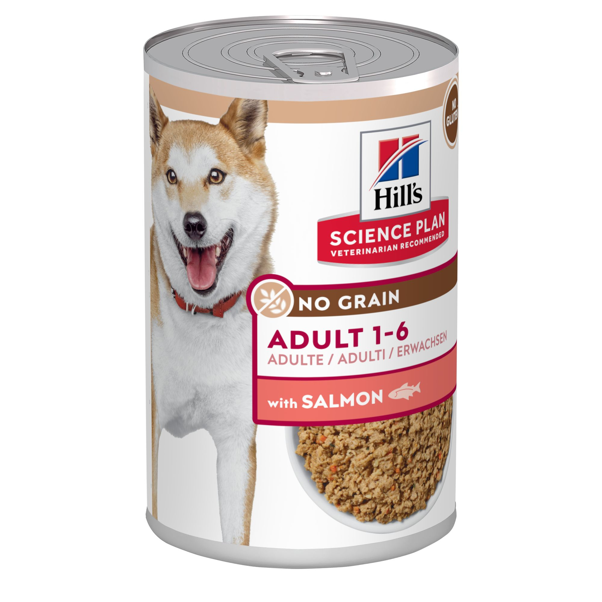 Adult No Grain Salmon Våtfoder för hund 363g