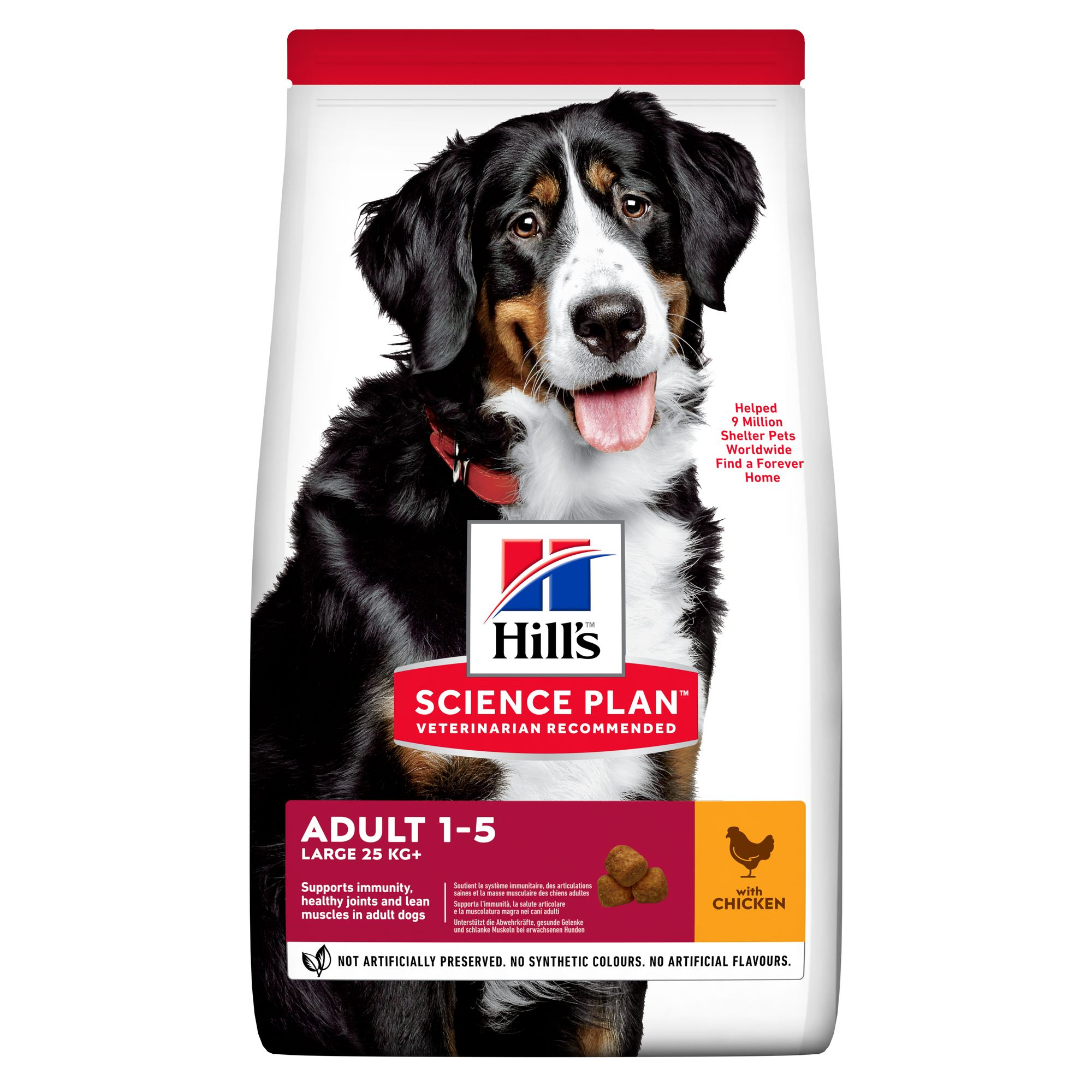 Adult Large Breed Chicken Torrfoder för hund 14kg