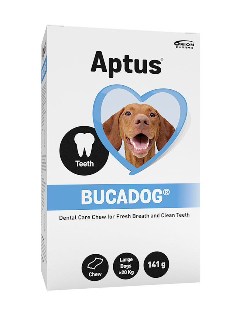 Bucadog Tuggbitar Large >20kg 141g