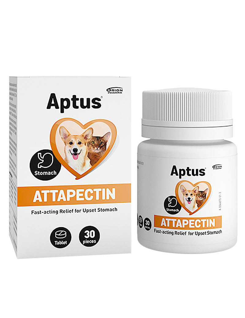 Attapecitin Tillskott för hund och katt 30st