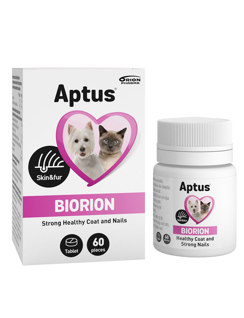 Biorion Tillskott för hund och katt 60st