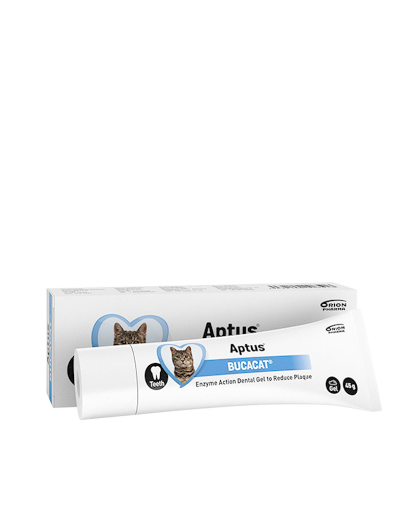 BucaCat Tandkräm för katt 45g