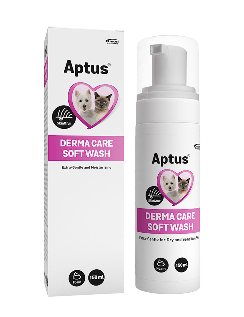 Derma Care Soft Wash 150ml
