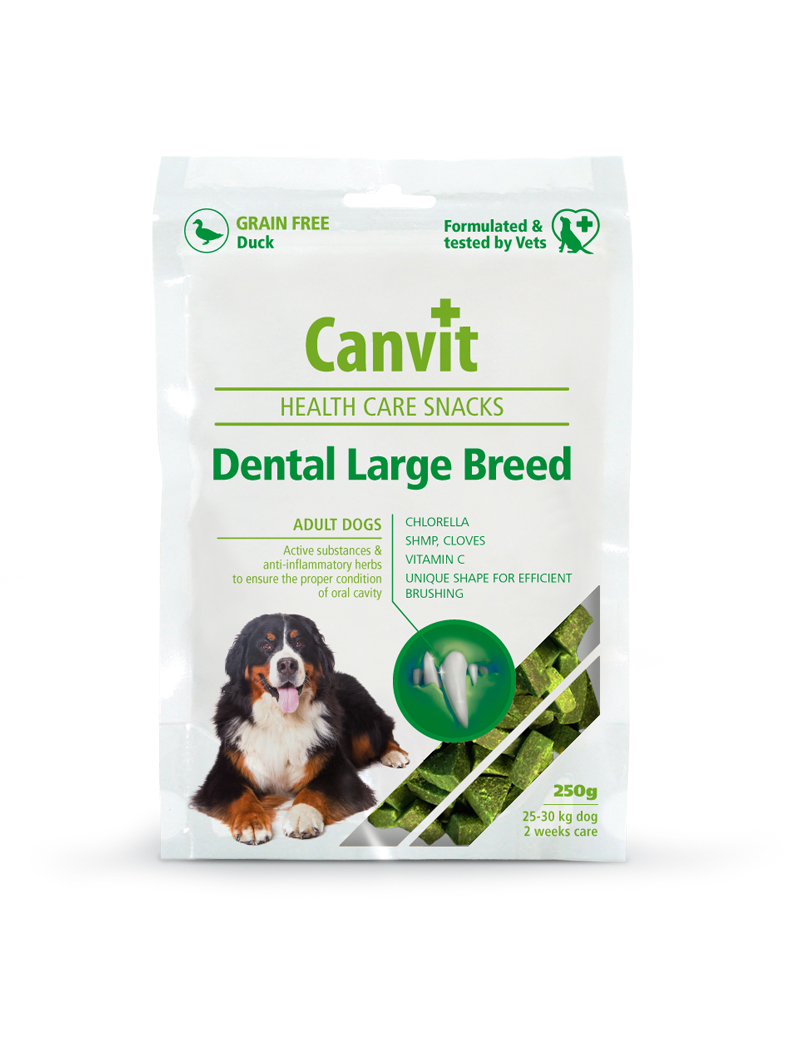 Health Care Snacks Dental Large Breed 250g