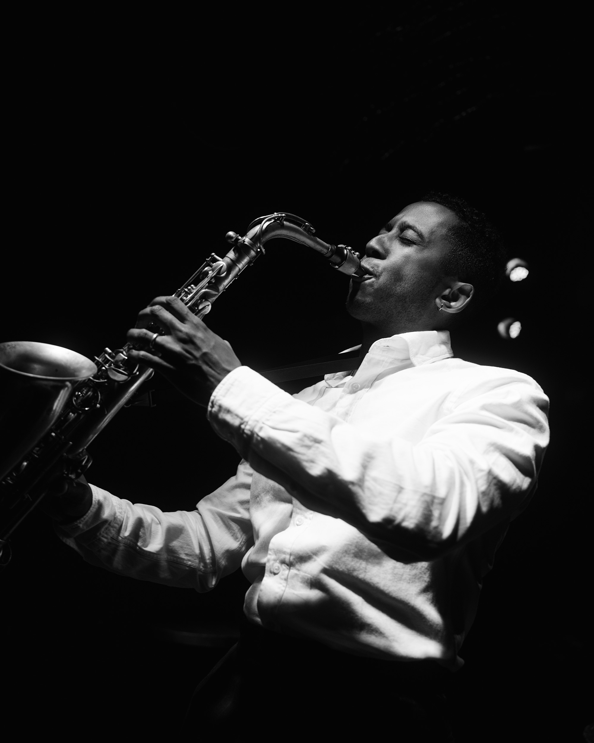 The Selvage Denim Regular