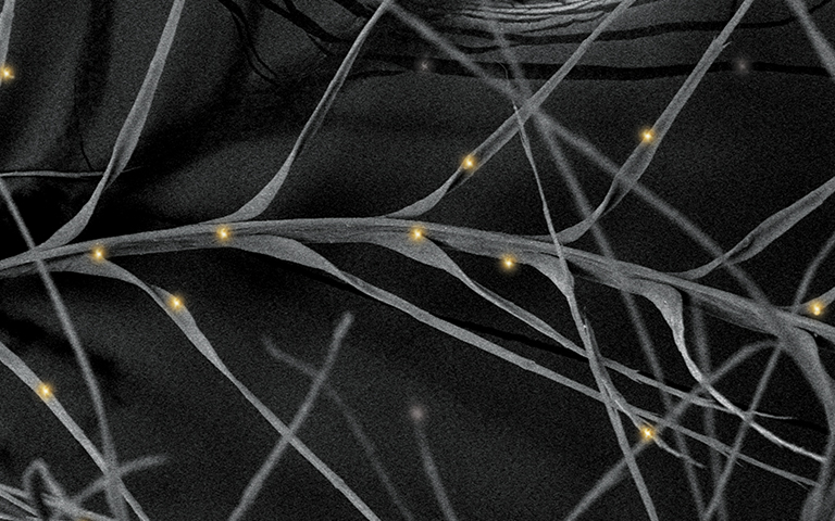 ExpeDRY Ultra Dry Down FUZE® Technology