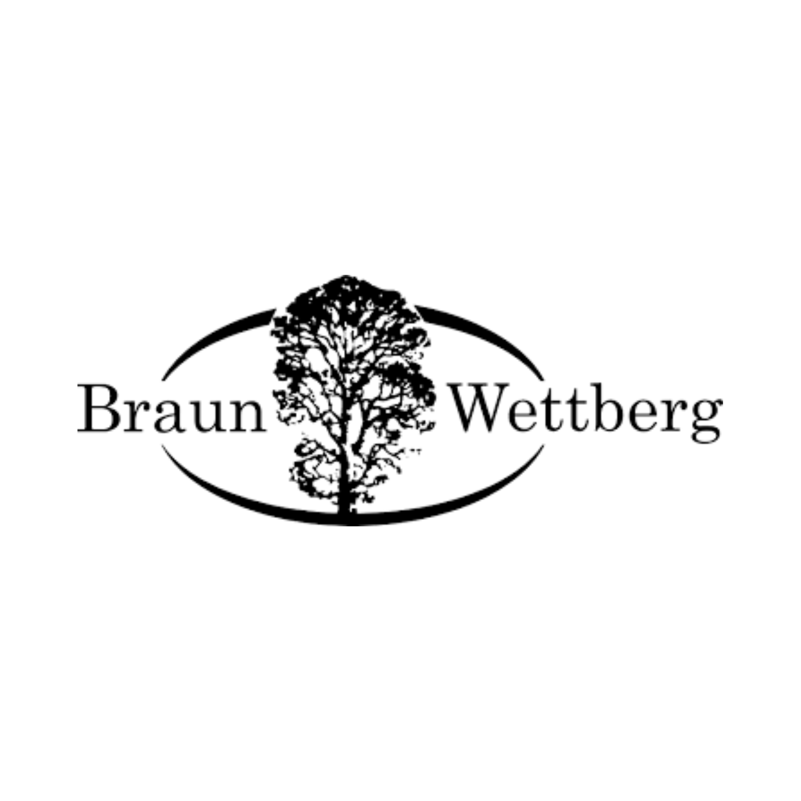 BRAUN WETTBERG
