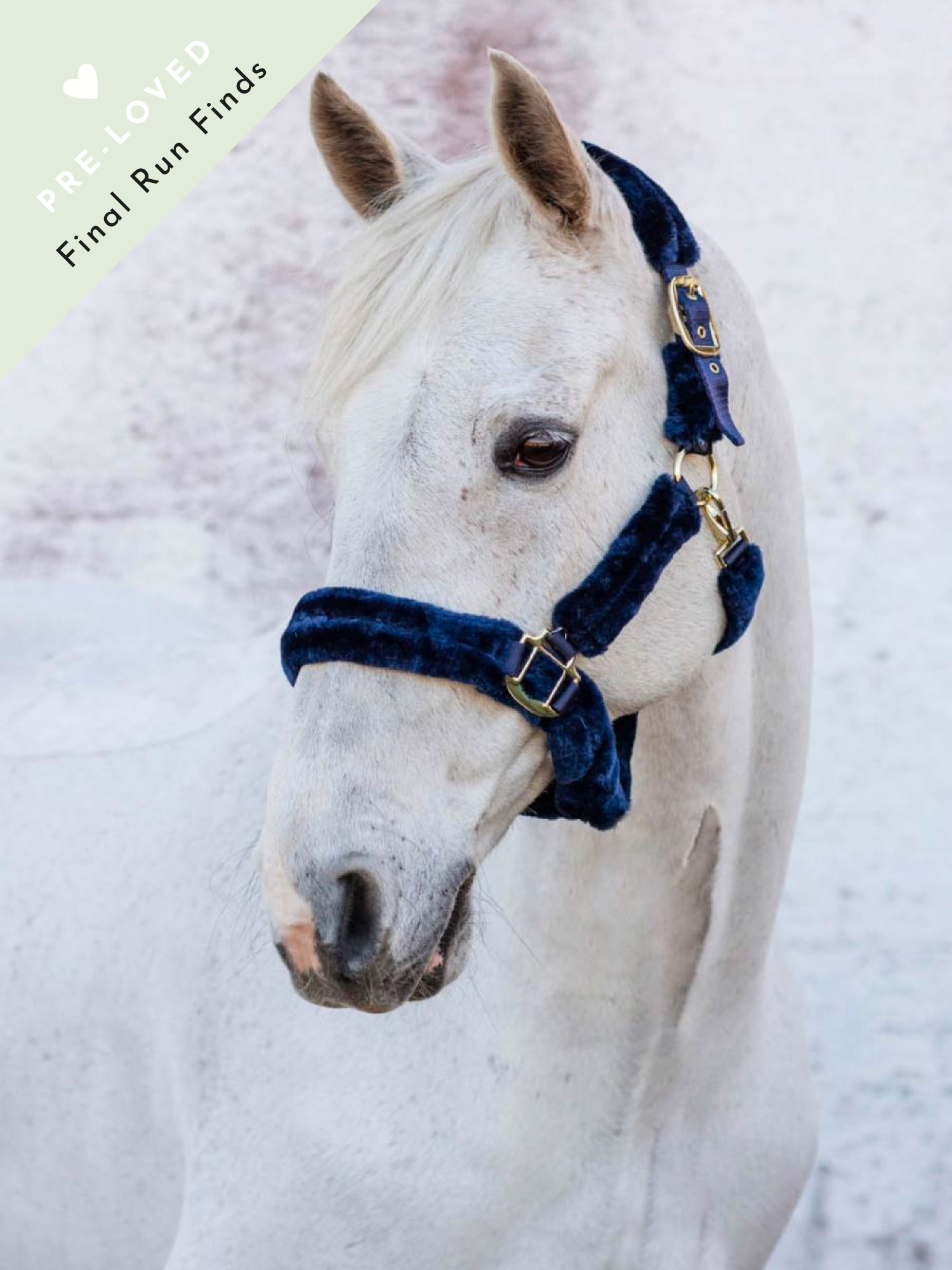 Manila Halter thumbnail